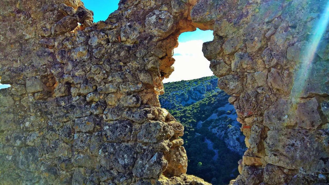 Les Studios De St Guilhem Saint-Guilhem-le-Desert Bagian luar foto