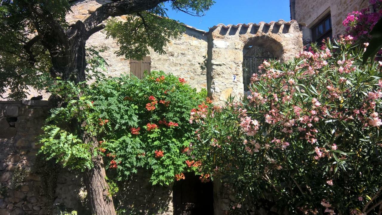 Les Studios De St Guilhem Saint-Guilhem-le-Desert Bagian luar foto
