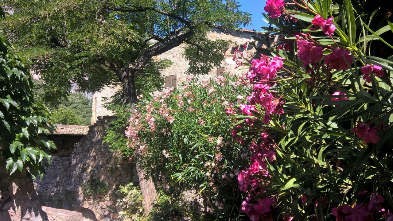 Les Studios De St Guilhem Saint-Guilhem-le-Desert Bagian luar foto